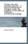 Fiume : The Only Possible Solution: A Lecture Delivered in Glasgow Under the Auspices