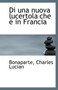 Di Una Nuova Lucertola Che E in Francia Di Una Nuova Lucertola Che E in Francia