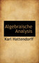 Algebraische Analysis
