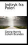 Indtryk Fra Polen
