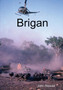 Brigan by John Stewart - Paperback