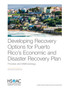 Developing Recovery Options for Puerto Rico's Economic and Disaster Recovery Plan : Process and Methodology