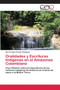 Oralidades y Escrituras Indigenas en el Amazonas Colombiano