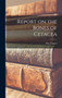 Report on the Bones of Cetacea