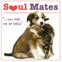 Soul Mates : '...you had me at hello' by Robin Haywood - Hardback