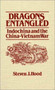 Dragons Entangled : Indochina and the China-Vietnam War