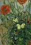 Van Gogh's Butterflies and Poppies Notebook by Vincent Van Gogh - Paperback