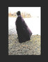 Decoy Malcolm by Malcolm Anderson - Paperback