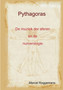 Pythagoras Zijn Leven En Zijn Leer by Marcel Roggemans - Paperback