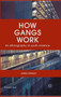 How Gangs Work : An Ethnography of Youth Violence