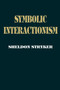 Symbolic Interactionism : A Social Structural Version