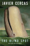The Blind Spot : An Essay on the Novel