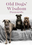 Old Dog Wisdom Postcards by Fiona Tomlinson - Paperback