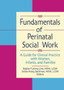 Fundamentals of Perinatal Social Work : A Guide for Clinical Practice with Women, Infants, and Families