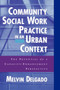 Community Social Work Practice in an Urban Context : The Potential of a Capacity Enhancement Perspective