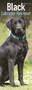 Black Labrador Retriever Slim Calendar 2019 by Avonside Publishing Ltd - Paperback