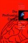 The Prefrontal Cortex : Executive and Cognitive Functions