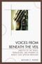 Voices from Beneath the Veil : Analysis of the Trials, Tribulations, and Triumphs of Middle Class African Americans