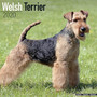 Welsh Terrier Calendar 2020 by Avonside Publishing Ltd - Paperback