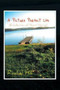 A Picture Perfect Life : (A Collection of Short Stories)