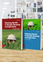 Werkzeug Sprache in Therapie, Beratung und Supervision : Das Grundlagenbuch und das Arbeitsbuch