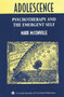 Adolescence : Psychotherapy and the Emergent Self