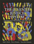 The Juvenile Justice System : Delinquency, Processing, and the Law