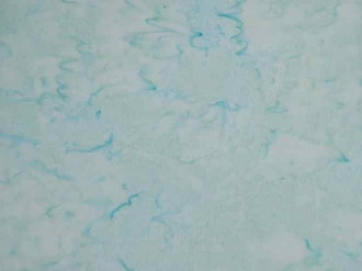 1895-484 Seaside, Hoffman Batiks Seaside Bali Handpaints Light Blue With a Hint of Green. 100% Cotton, 42" wide

