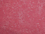 Compliments Leafy Scroll Dark Pink, 100% Cotton, 42” wide
Item #: 38717 330