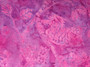 2456-474, Punch Bali Handpaints Pink Design Of Violet Background, Punch Like Colour, 100% Cotton, 42” wide