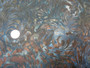 AMD 13896-189, Earth, Elementals by Robert Kaufman, Light black background with, brown swirl design, 100% good quality cotton, 42" wide