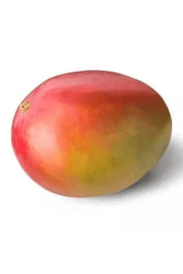 Fresh Fruits Fresh Mango 2ct