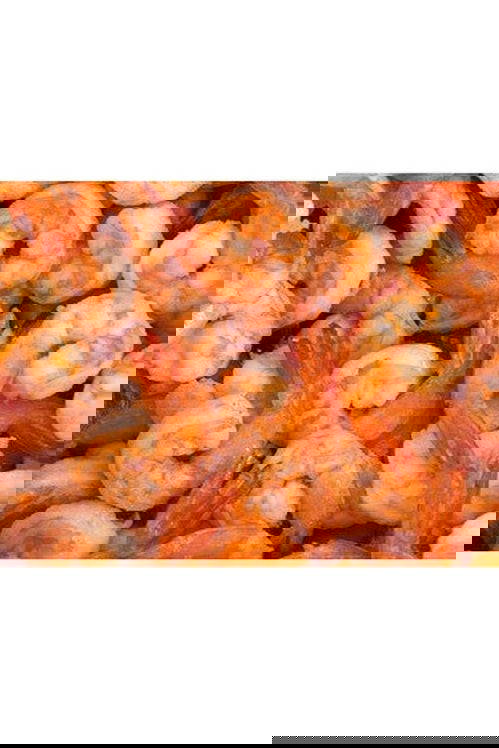 Cocktail Medium Shrimp Cooked