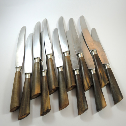12 Antique Horn Handled Stainless Steel Dinner Knives French