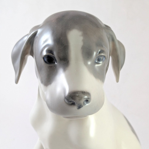 20cm tall Vintage Royal Copenhagen Pointer Puppy Figurine 259