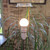 Vintage Mid Century Danish Brazilian Rosewood Standard / Floor Lamp with brass banding