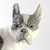 Vintage Royal Copenhagen French Bulldog Figurine c1930 Lauritz Jensen 1452/1465