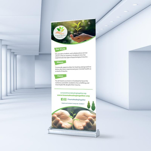 Budget Roller Banner (short term)