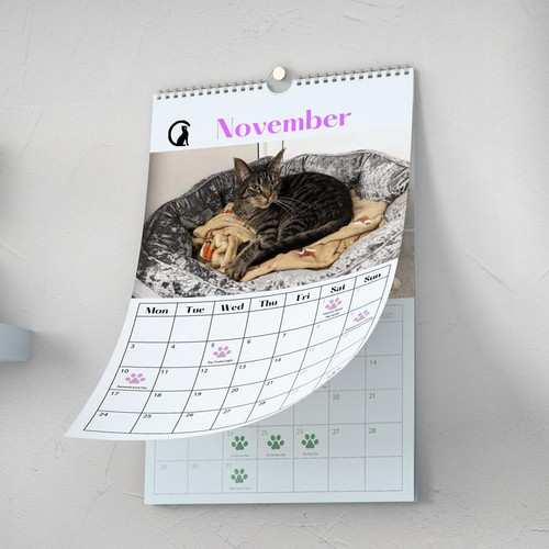  Wiro Bound Wall Calendars 