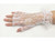 http://d3d71ba2asa5oz.cloudfront.net/12022065/images/3glss4001_white_back_a.jpg