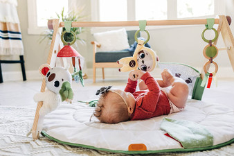 Tiny Love Boho Chic Gymini