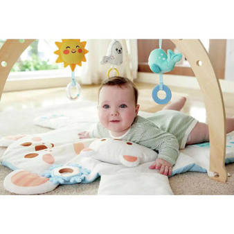 Hape Snuggle Bear Activity Gym
