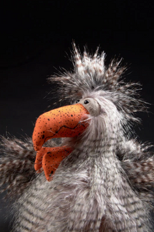 Sigikid Cherrio Chicken, 11.8"