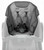 Veer Comfort Seat for Toddlers