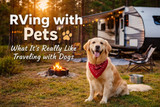 RVing with Pets: What It’s Really Like Traveling with Dogs