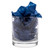 Albany Map Double Old Fashioned Rocks Glass