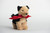 Major Plush Pawlitical Pet