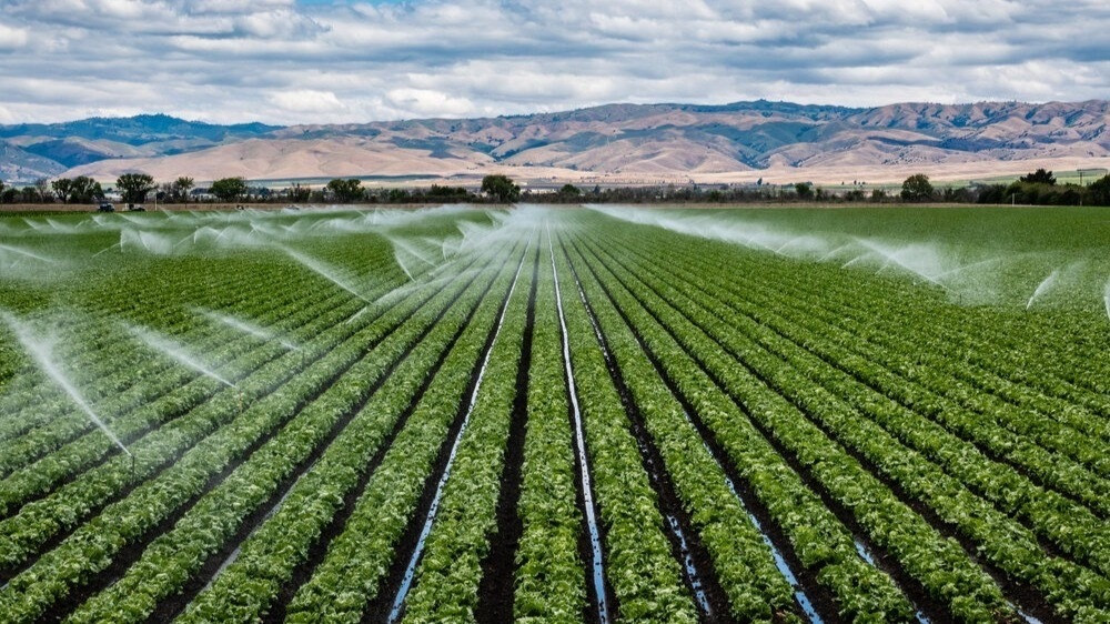 Irrigation