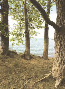 New Greeting Card Artwork