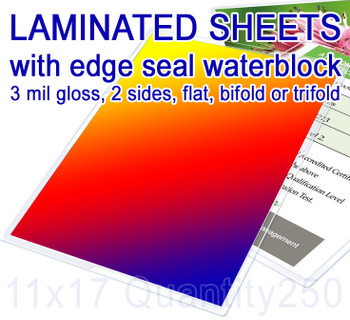 11" x 17" Full Color Print, 250 for $432, with Edge Seal Gloss Lamination. Flat or Folded, 11" x 17" Full Color Print, 250 for $432, with Edge Seal Gloss Lamination. Flat or Folded,